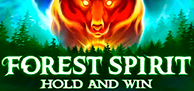 Forest Spirit Hold & Win